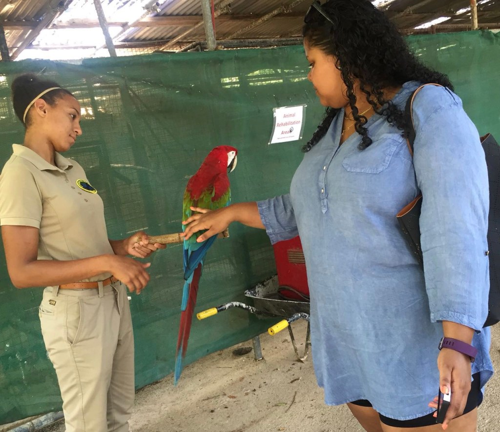 How Trinidad Gave Birth To Ashley Travels the&nbsp;Globe